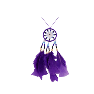 Purple Big Dreamcatcher
